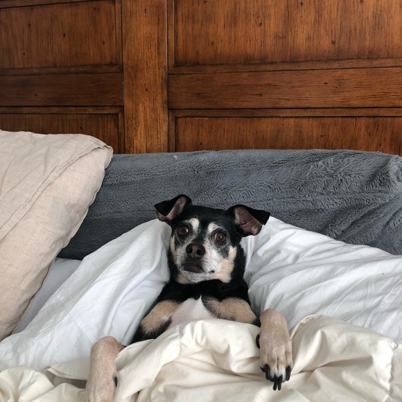 Meet your Posher, Ben - Picture 1 of 1